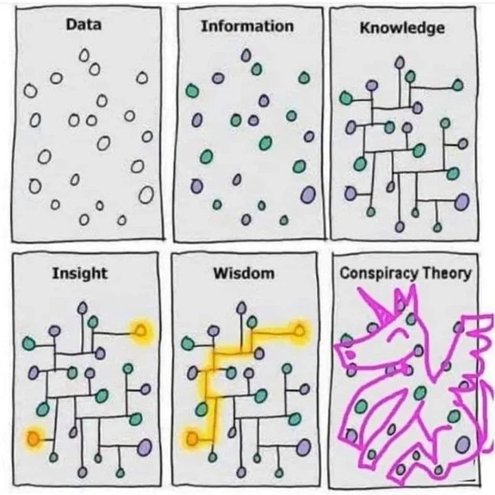 The meme is a visual representation of the Dunning-Kruger effect, which describes the phenomenon where people with limited knowledge or experience in a particular subject area are unable to recognize their own ignorance and instead overestimate their abilities. The image consists of six panels, each labeled with a word: Data, Information, Knowledge, Understanding, Wisdom, and Insight. The panels are filled with dots, with the dots in each panel representing the amount of knowledge or understanding in that area, with the dots in the "Insight" panel being a unicorn, implying that the person has achieved a high level of understanding and wisdom.